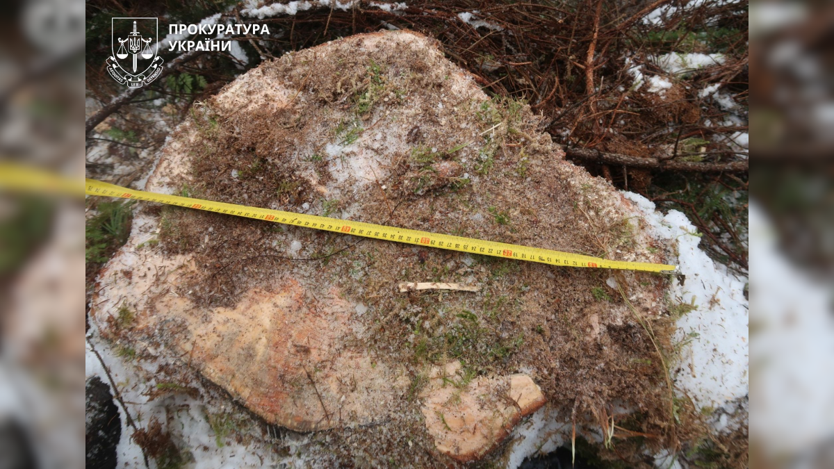 Ліс Чорні лісоруби