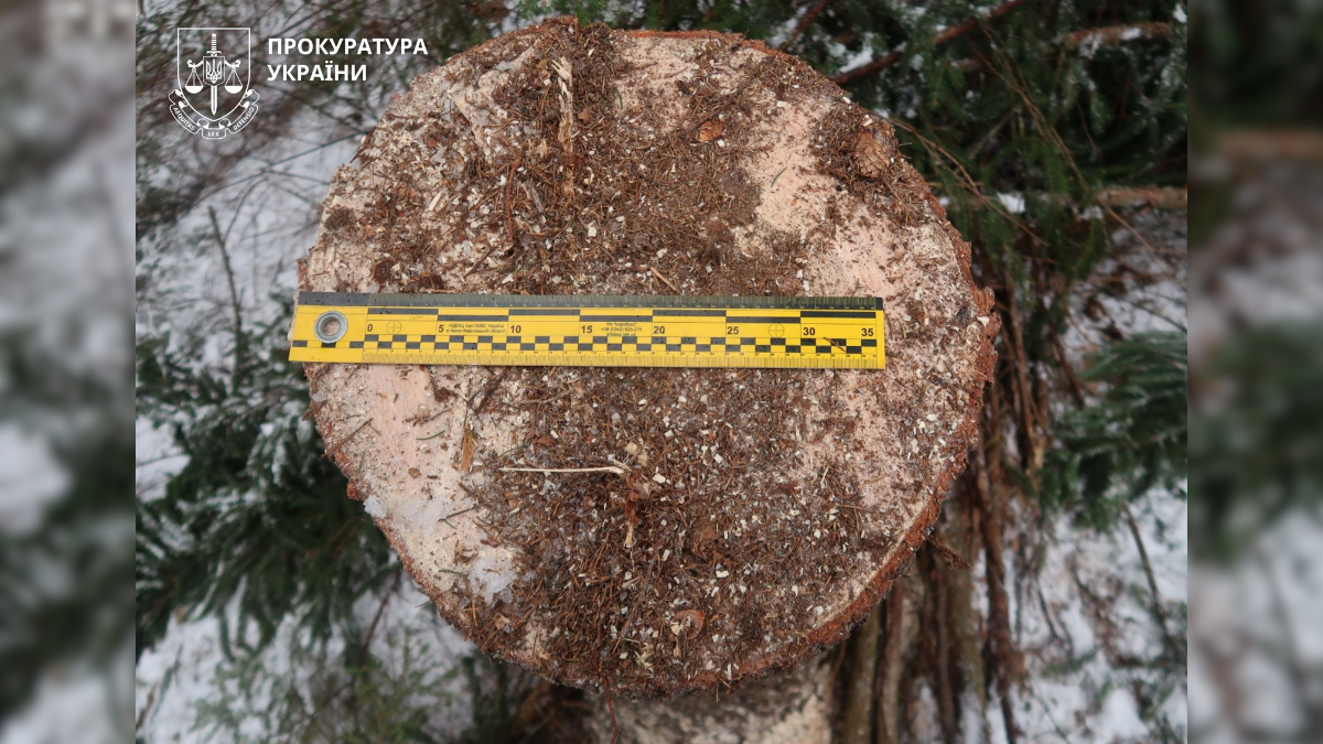 Ліс Чорні лісоруби