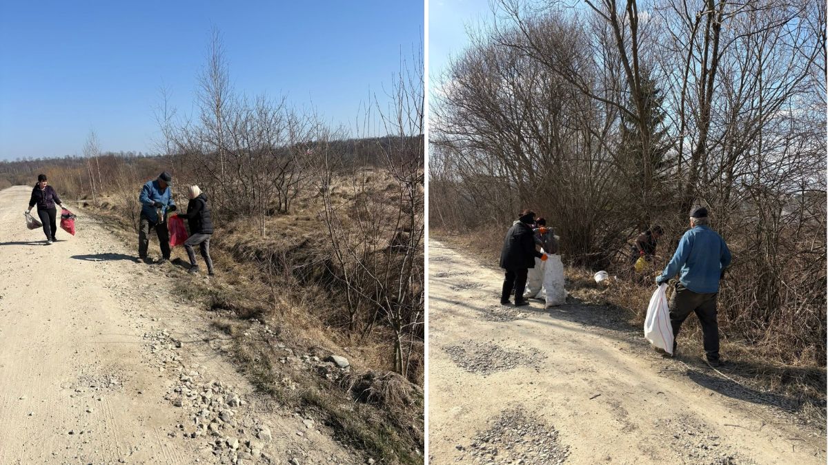 У Долинській громаді весняна толока