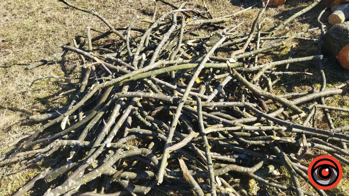 Роботи у саду