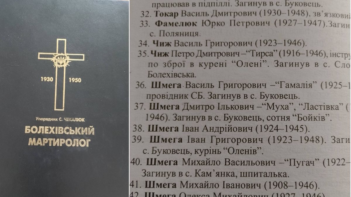 У музей Болехова передали портрет учасника УПА