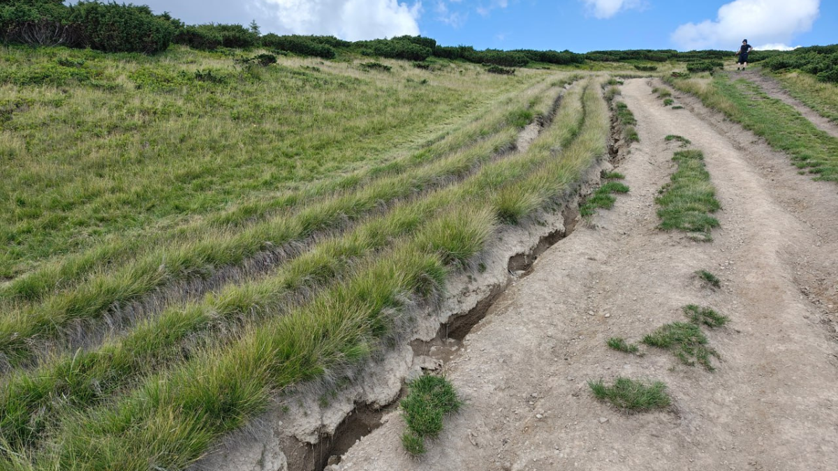 Ігор Дикий WWF-Україна