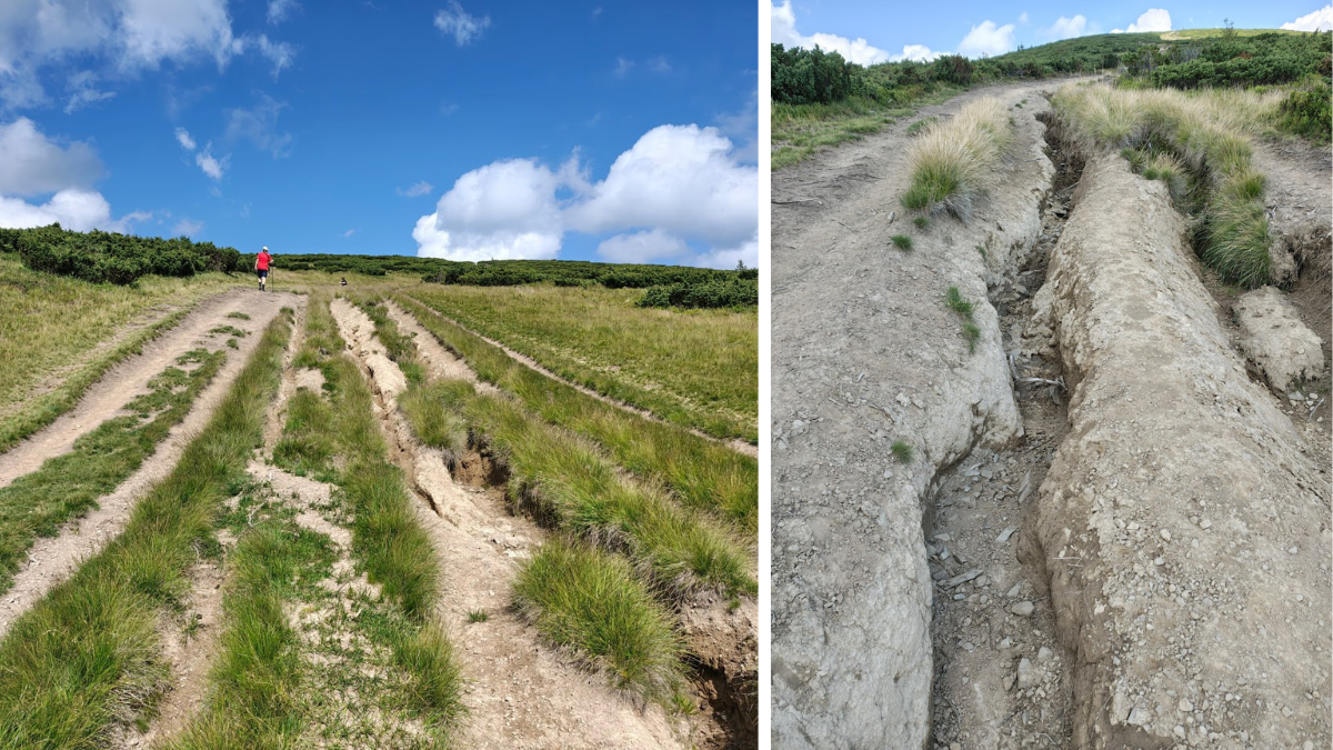 Ігор Дикий WWF-Україна