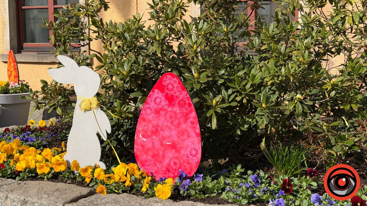 Вміст кошика у Польщі