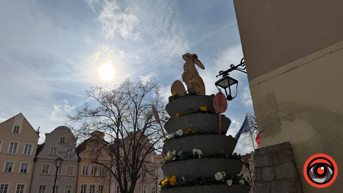 Вміст кошика у Польщі