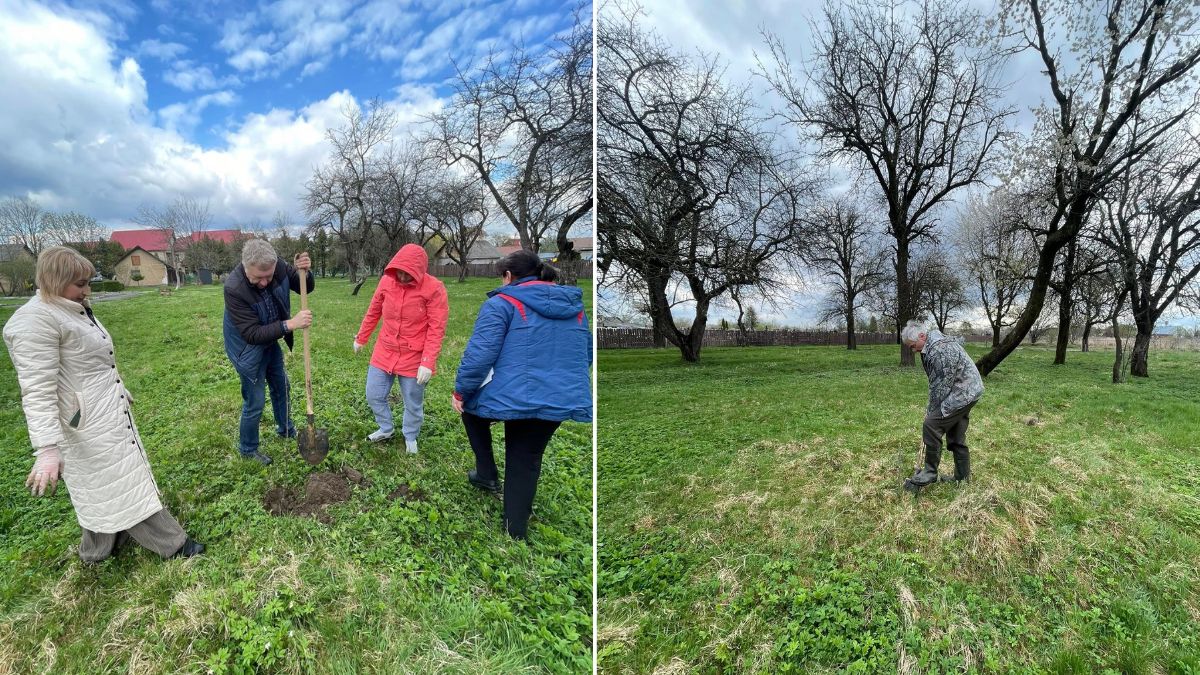 У Брошневі висадили сад Перемоги