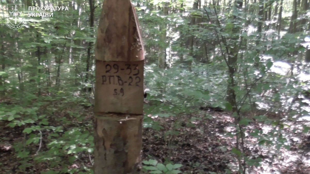 завдали збитків лісу 387 млн грн