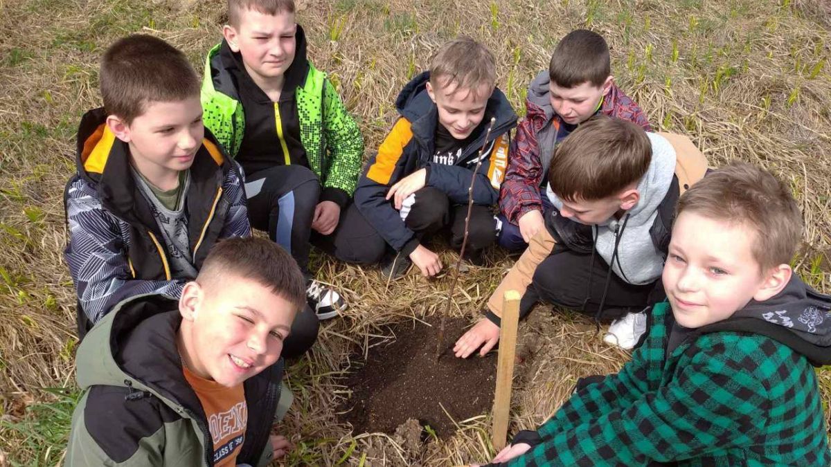 У Рожнятові висадили дерева