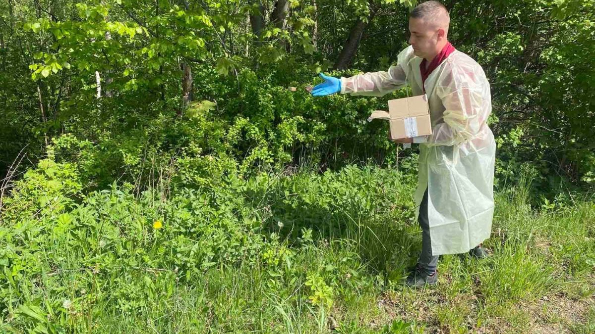 На Прикарпатті розкидують приманки для тварин