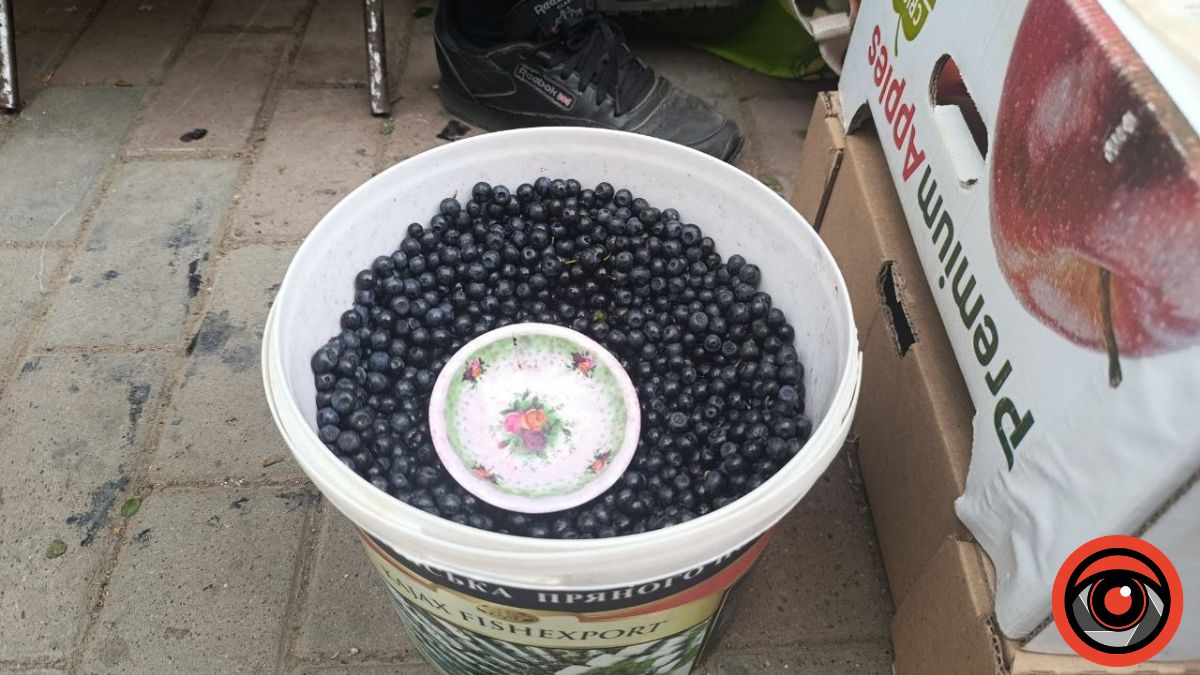 Які ціни на чорницю у Калуші