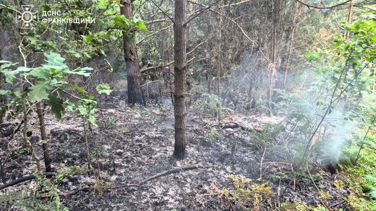 На Калущині понад 11 годин гасили пожежу лісової підстилки