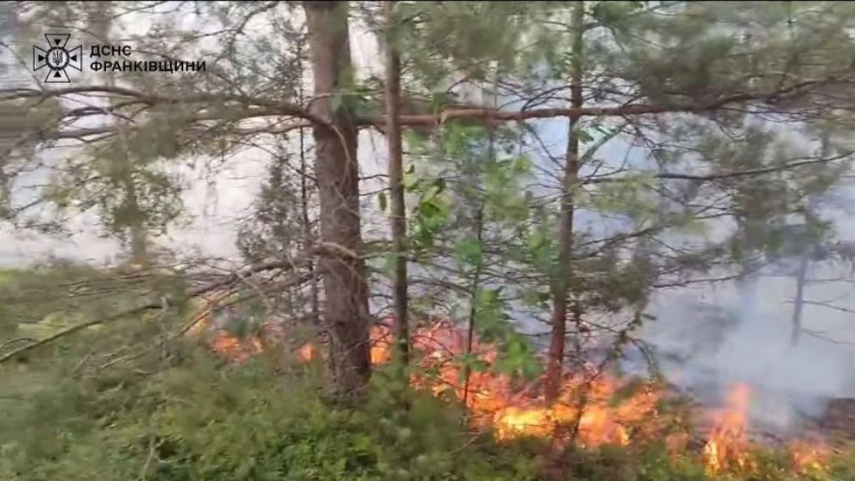 Лісова пожежа у селі Станківці