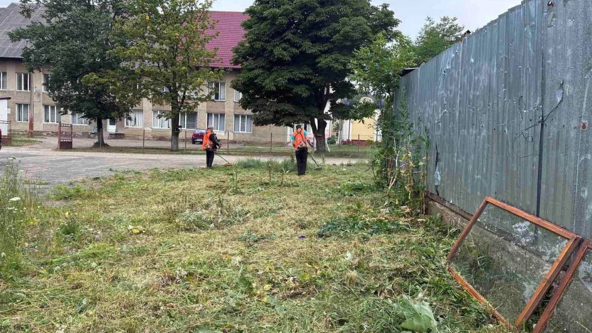 У Долині дбають про зелені насадження