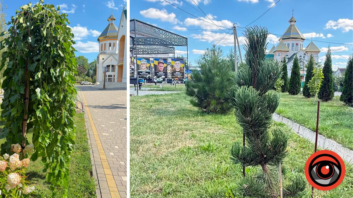 У Голині цвітуть різні квіти