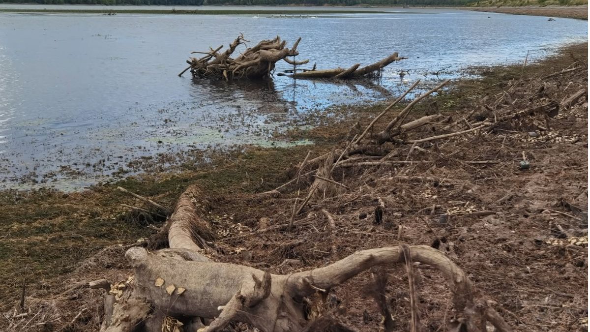 У Рожнятові на водосховищі маловоддя