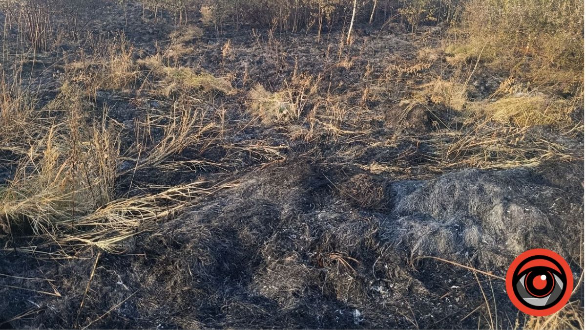 Чому димить на Рожнятівщині