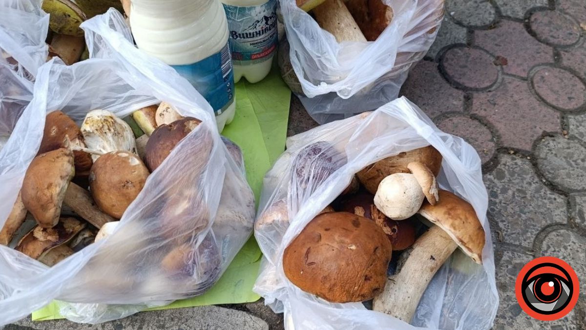 Ціни на гриби на калуському ринку