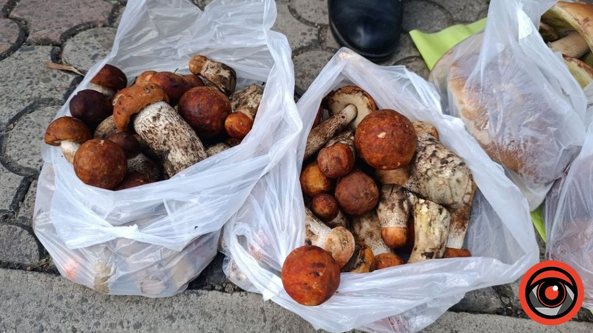 Ціни на гриби на калуському ринку