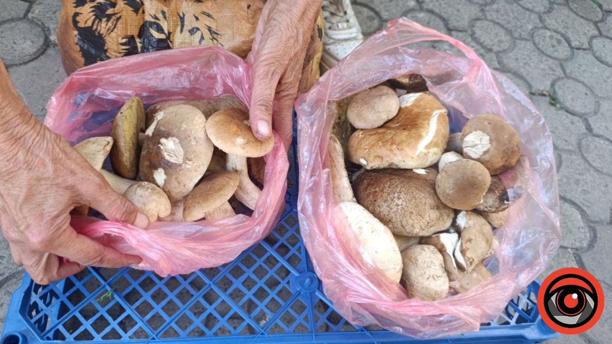 Ціни на гриби на калуському ринку