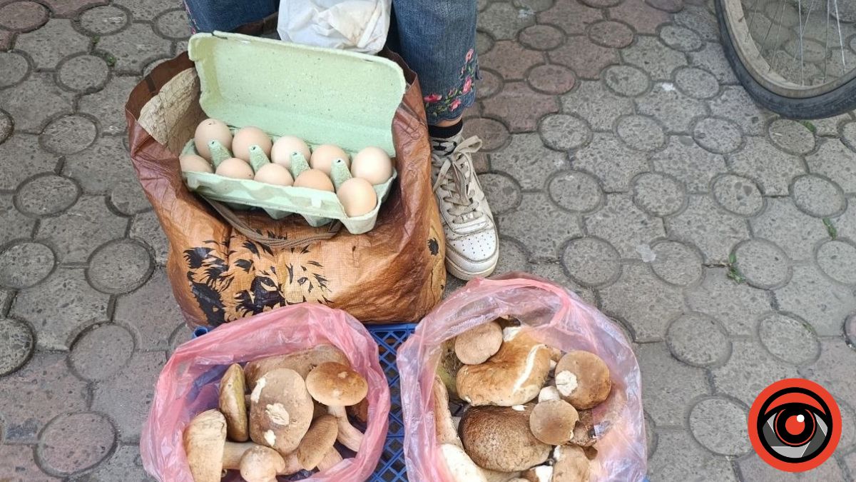 Ціни на гриби на калуському ринку