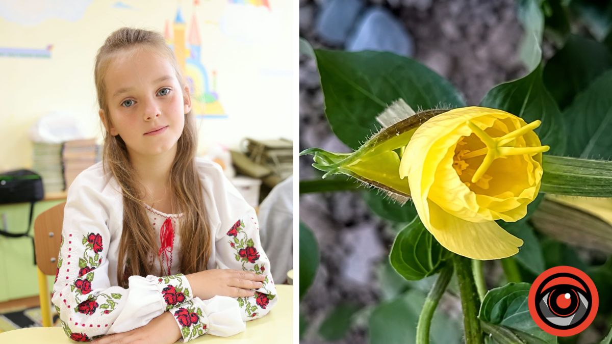 Школярка зафільмувала цвітіння нічної квітки