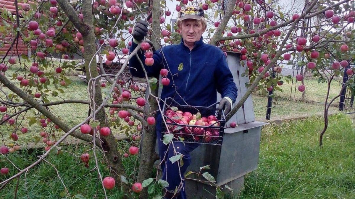 Чоловік розповів про користь кизилу