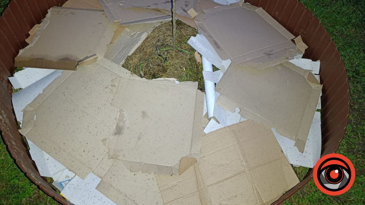 Розумна клумба з картону