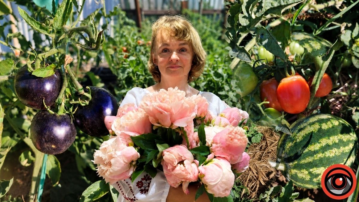 Як восени садити півонії
