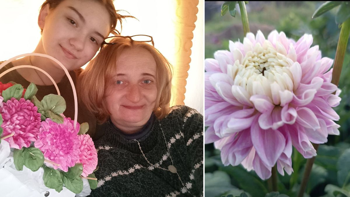 На Калущині переселенка вирощує жоржини